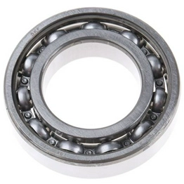 6006 SKF