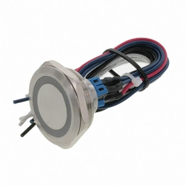 PV10FWU0SS-331 E-SWITCH