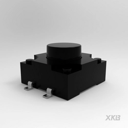 TS-FS1212T-C-H XKB Connectivity