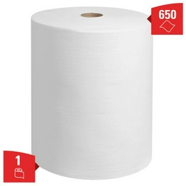 8349 Kimberly-Clark