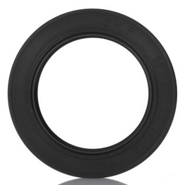 SKF 55X80X10 HMSA10 RG image