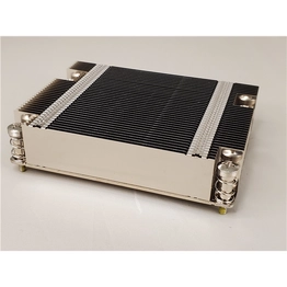 VCH1101 RADIAN