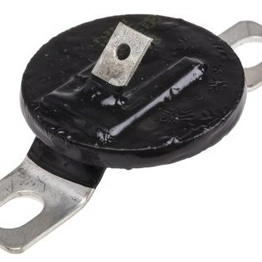 RS 240208 image