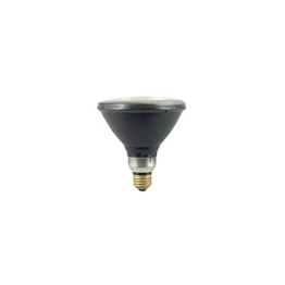 WW-EF02-8 International Lighting