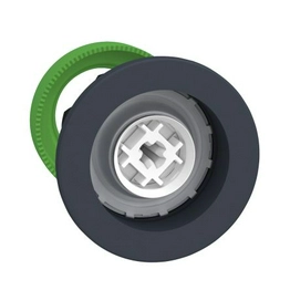 ZB5FH0 Schneider Electric