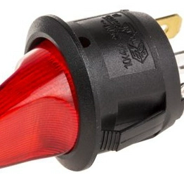 RS 419845 image
