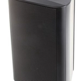 WB 10 100  V/8 OHM BLACK VISATON