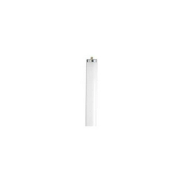 24PAK:WW-S8TT-3 International Lighting