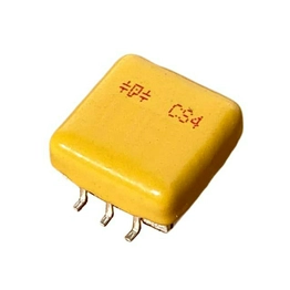 205K100CS4G PAKTRON