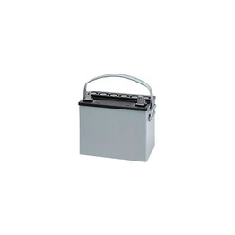 WW-Q1T8-0-GT-225 GARDEN TRACTOR BATTERY International Lighting