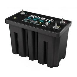 Skeleton Technologies SkelStart12V image