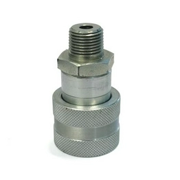 309343 RS