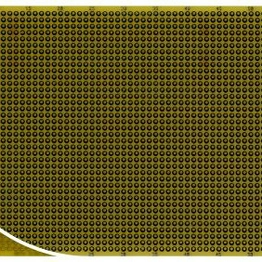 RE200-DSPT Roth Elektronik