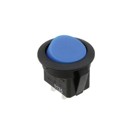 RR111C1700 E-SWITCH
