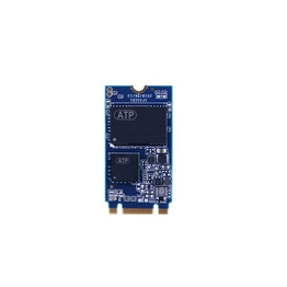 AF256GSTIA-2BBXX ATP Electronics