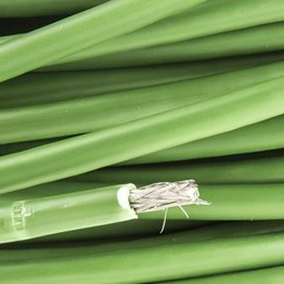 RS 3706199 image
