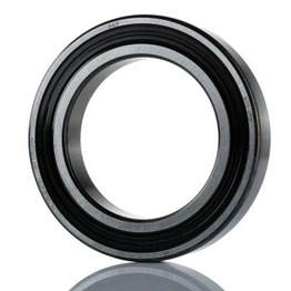 6013-2RS1 SKF