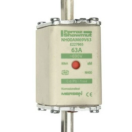 E227865 / NH00AM69V63 MERSEN