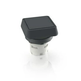 1.30.070.251/0100 RAFI