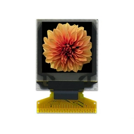 O9696A-F-TW3 FOCUS LCDs