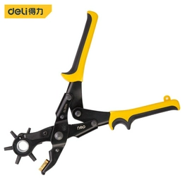 DL1919A DELI
