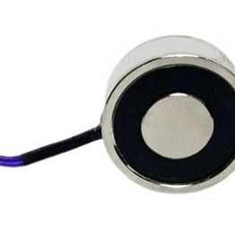 309314 RS