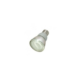 WW-251T-9 International Lighting