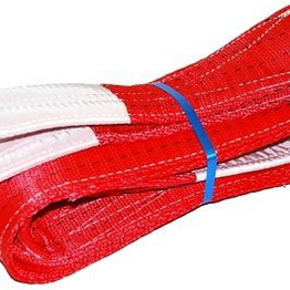 RS 1244890 image