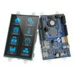 T4DSYS-006 Microchip Technology