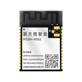 M528H-WS63 PTW