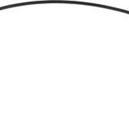 RS 7942881 image