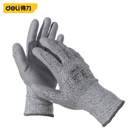 DL521043 DELI