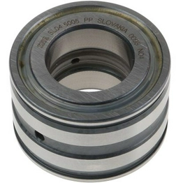 SL045005PP INA