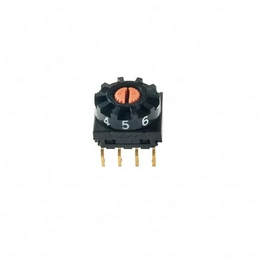 FR01SR10P-S NKK Switches