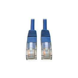 550256 International Lighting