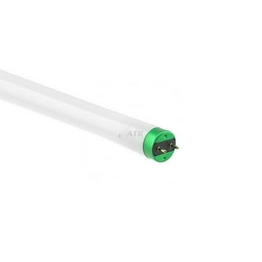 WX-EHY1-6 International Lighting