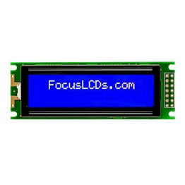 C162FLBSBSW6WN55PAB FOCUS LCDs