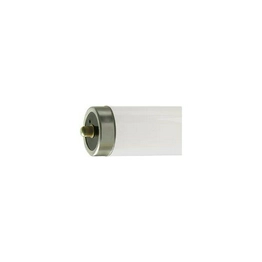 15PAK:WW-F6FZ-1 International Lighting