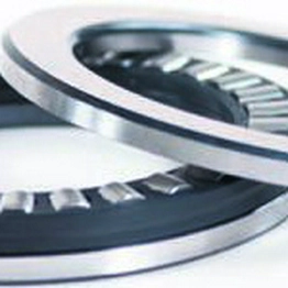 81102TN SKF