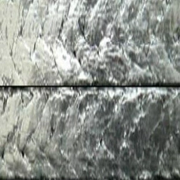 606568 RS