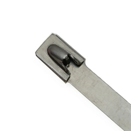 AL-20-100-SS-C Advanced Cable Ties