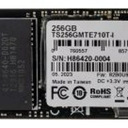Transcend Information TS256GMTE710T-I image