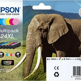 C13T24384010 EPSON