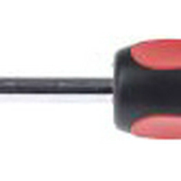 RS 4992379 image