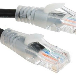 RS 556263 image