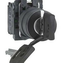 Schneider Electric XB5AG33 image