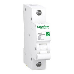 R9F24125 Schneider Electric