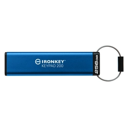 IKKP200/256GB Kingston Technology