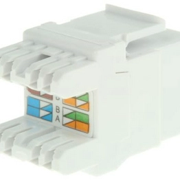 RS 556483 image