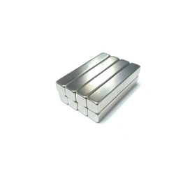 9168 Radial Magnets